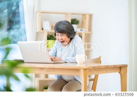 Grandma using a computer Portrait of senior woman Silver generation Elderly woman 63325506