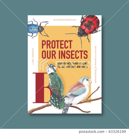Insect and bird poster design with ladybug, finch, Insect and bird poster design with ladybug, finch, 63326199