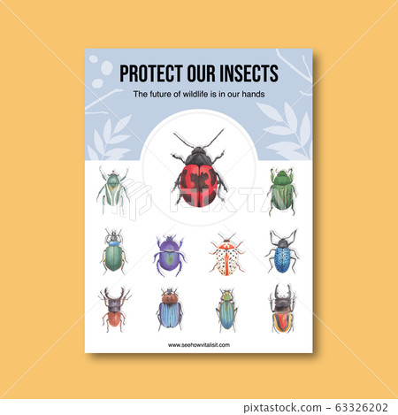 Insect and bird poster design with various beetles 63326202