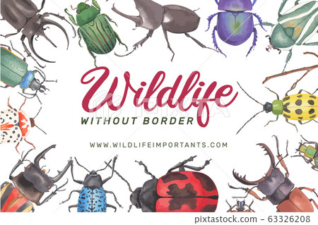 Insect and bird frame design with various beetles 63326208