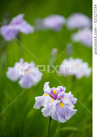 Flower shovel 63327334