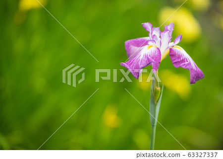 Flower shovel 63327337