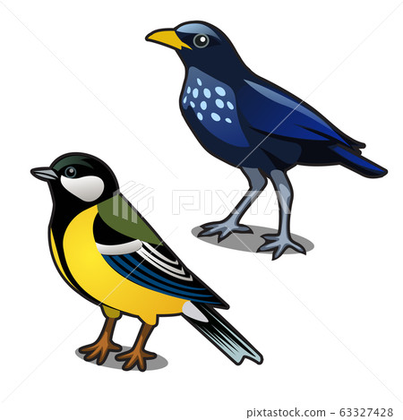 Bird blue tit and jackdaw isolated on white background. Vector cartoon close-up illustration. Bird blue tit and jackdaw isolated on white background. Vector cartoon close-up illustration. 63327428