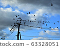 A group of crows 63328051