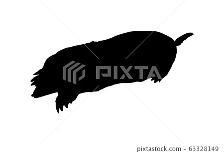 Animal silhouette wild mole 2 63328149