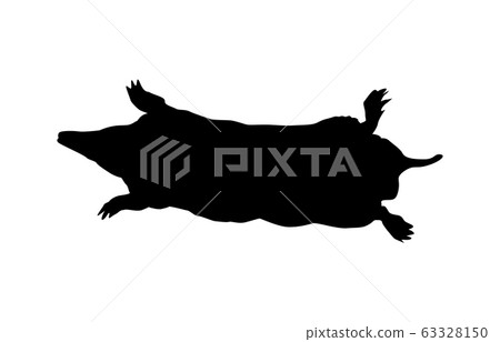 Animal silhouette wild mole 3 63328150