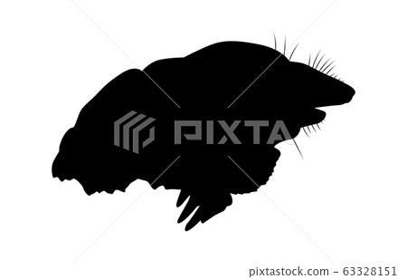 Animal silhouette wild mole 4 63328151
