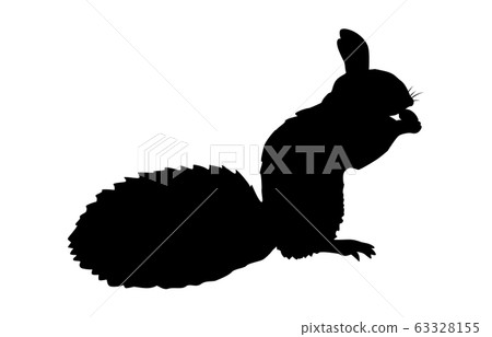 動物剪影野生松鼠4 動物剪影野生松鼠4 63328155