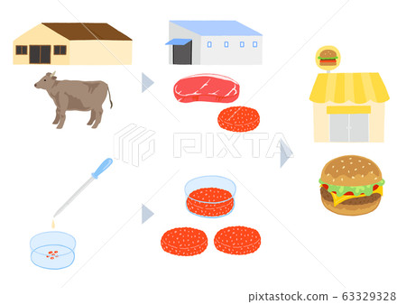畜禽肉的生產過程和養殖肉的形象 畜禽肉的生產過程和養殖肉的形象 63329328