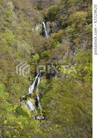 Kirifuri Falls from Nikko Kirifuri Falls Observatory 63329620