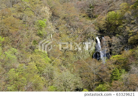 Nikko Kirifuri Falls天文台的Kirifuri Falls 63329621