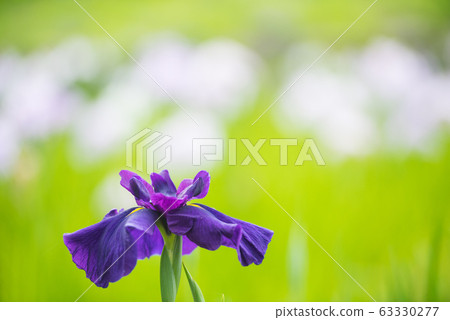 Flower shovel Flower shovel 63330277