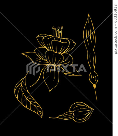 Contour watercolor illustration of fuchsia leaves and flowers in the form of silhouettes on a Contour watercolor illustration of fuchsia leaves and flowers in the form of silhouettes on a 63330918