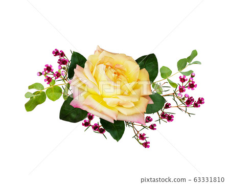 Yellow rose, eucalyptus and pink chamelaucium 63331810