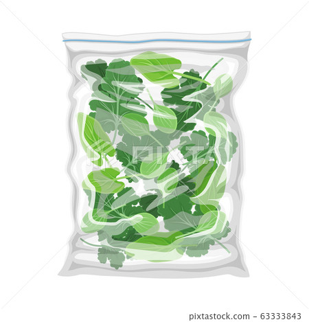 Frozen Greenery Stored in Plastic Package Vector Illustration 63333843