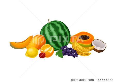 Exotic Fruits Composition with Watermelon and Papaya Vector Illustration Exotic Fruits Composition with Watermelon and Papaya Vector Illustration 63333878