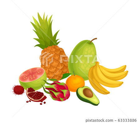 Exotic Fruits Composition with Pitaya and Pineapple Vector Illustration Exotic Fruits Composition with Pitaya and Pineapple Vector Illustration 63333886