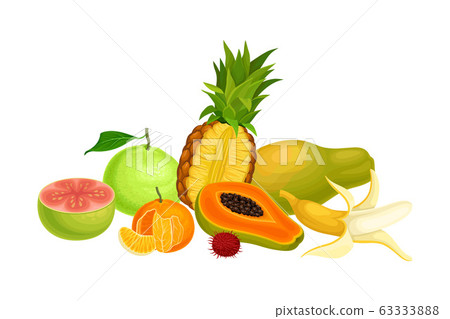 Exotic Fruits Composition with Pineapple and Papaya Vector Illustration Exotic Fruits Composition with Pineapple and Papaya Vector Illustration 63333888