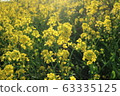 強姦開花 63335125