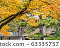 Selective focus branch of yellow maple leaves with copy space during autumn season 63335737