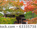 Colorful maple leaves autumn season on nature background 63335738