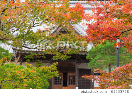 Colorful maple leaves autumn season on nature background Colorful maple leaves autumn season on nature background 63335738