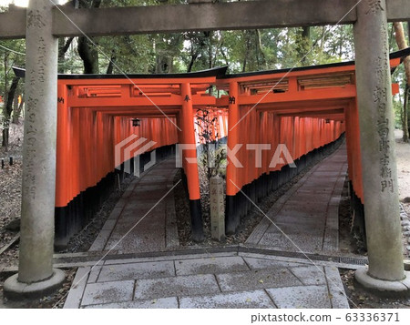 Kyoto Fushimi Inari Senbon Torii Kyoto Fushimi Inari Senbon Torii 63336371