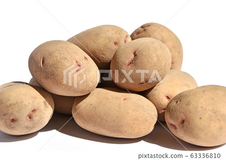土豆（遠） 63336810