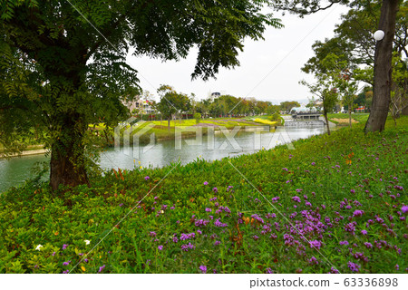 在小川部公園內，艷麗的紫色花正盛開幕。 63336898