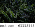 green leaves dark tone 63338348