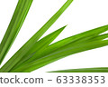 pandan leaves isolated on white background 63338353