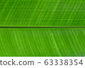 banana leaf background 63338354