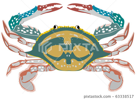 藍蟹 63338517