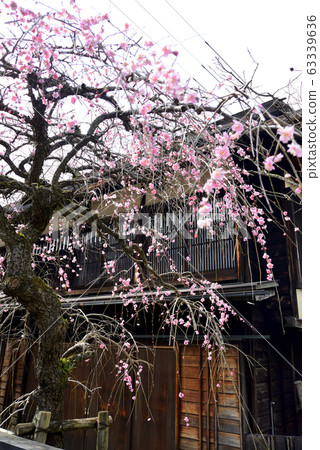 Nakasendo Wife Hostel Nakasendo Wife Hostel 63339636