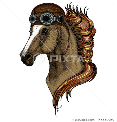 Horse, steed, courser. Portrait of wild animal. Aviator flying leather helmet with googles. Horse, steed, courser. Portrait of wild animal. Aviator flying leather helmet with googles. 63339969
