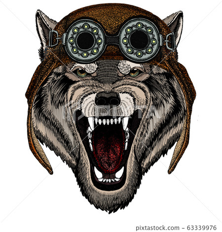 Wolf portrait. Head of wild animal. Aviator flying leather helmet with googles. Wolf portrait. Head of wild animal. Aviator flying leather helmet with googles. 63339976