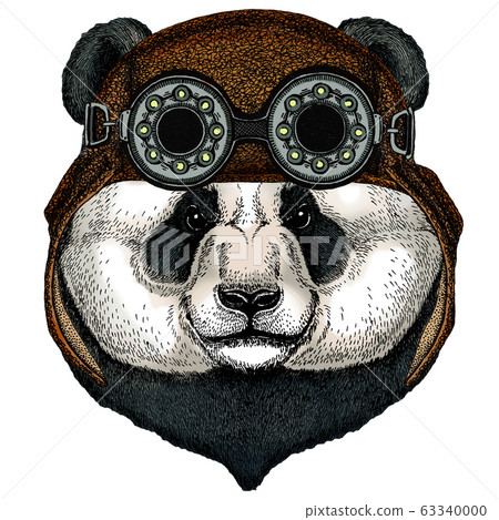 Big panda, bamboo bear portrait. Face of cute animal. Bear head. Aviator flying leather helmet with googles. 63340000