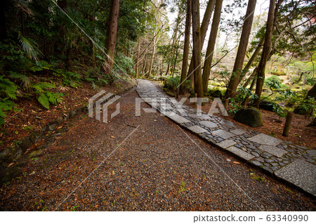 成田機場 63340990