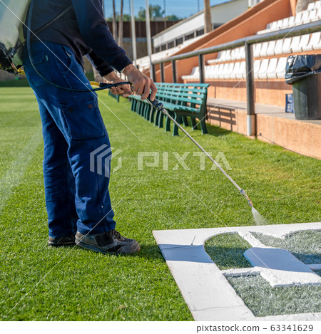 Draw letters on the grass in white over a template. The name of the football field on the grass 63341629