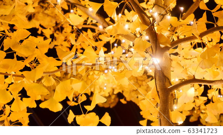 Ginkgo and lit up night Ginkgo and lit up night 63341723