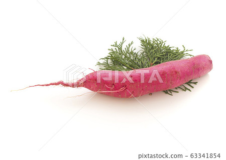 紅蘿蔔(南澤縣) 紅蘿蔔(南澤縣) 63341854