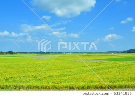 北陸本線風景 63341935