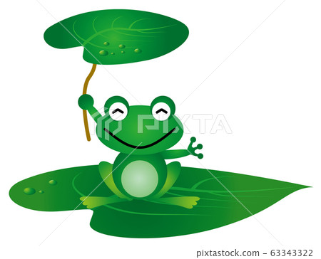 Tree frog 63343322