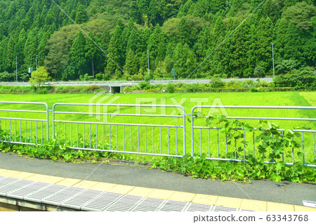 Scenery along the Hokuriku Main Line Scenery along the Hokuriku Main Line 63343768