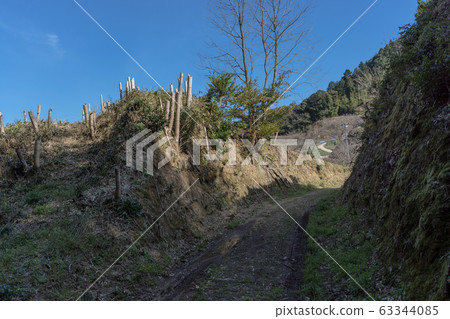 迦山富田城堡大地球基地 迦山富田城堡大地球基地 63344085