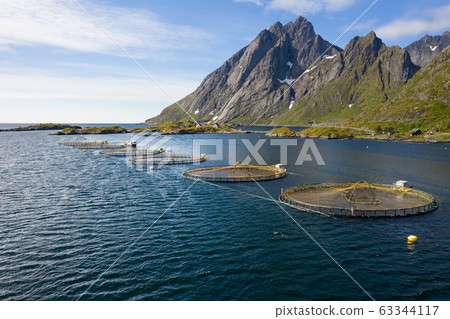 Farm salmon fishing in Norway Farm salmon fishing in Norway 63344117