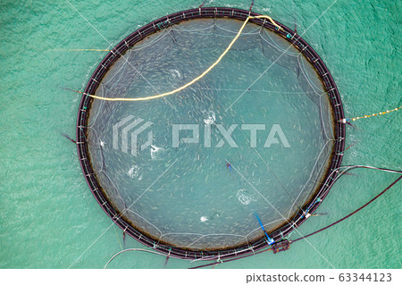 Farm salmon fishing in Norway Farm salmon fishing in Norway 63344123