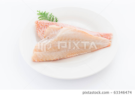 紅色的魚 紅色的魚 63346474