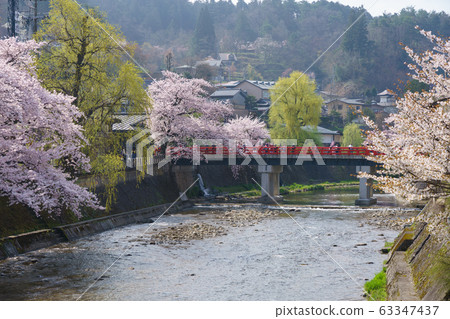 Takayama City, Gifu Prefecture Miyagawa Nakabashi Sakura (April) Takayama City, Gifu Prefecture Miyagawa Nakabashi Sakura (April) 63347437
