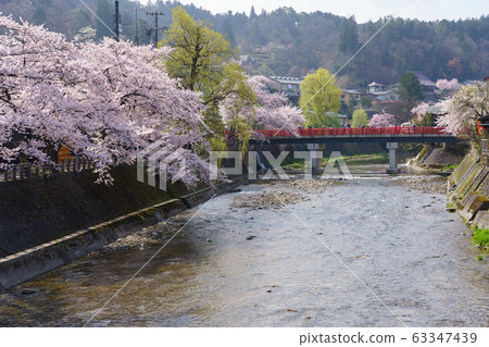 Takayama City, Gifu Prefecture Miyagawa Nakabashi Sakura (April) Takayama City, Gifu Prefecture Miyagawa Nakabashi Sakura (April) 63347439